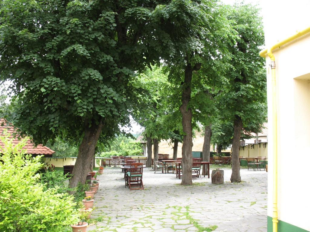 Pensiunea Sub Cetate Cisnădie Bagian luar foto