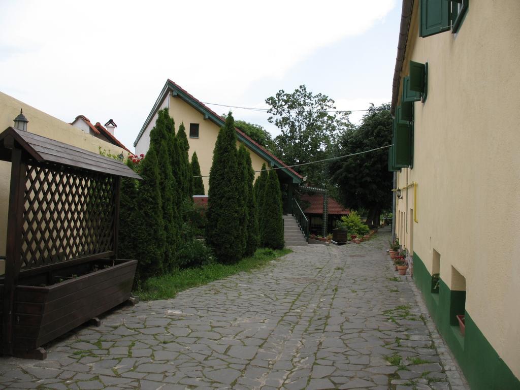 Pensiunea Sub Cetate Cisnădie Bagian luar foto