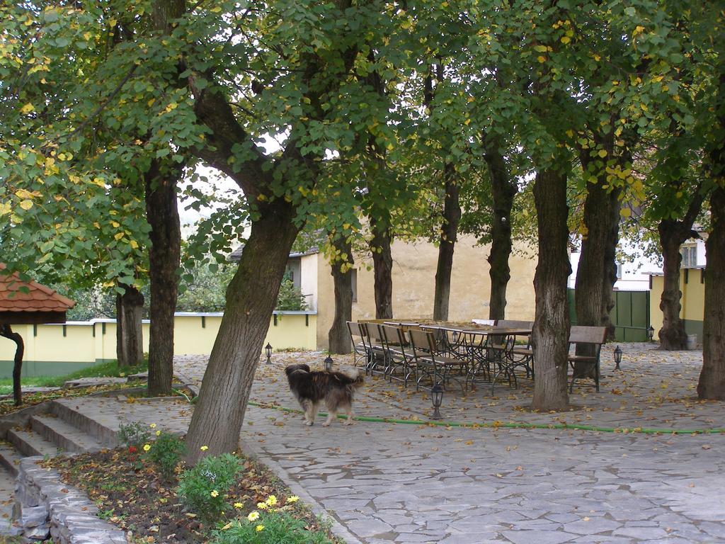 Pensiunea Sub Cetate Cisnădie Bagian luar foto